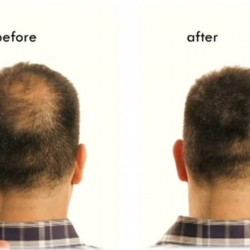 Hair Building Fibers