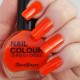 Orange Bundle